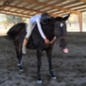 Meet your Posher, Sofia